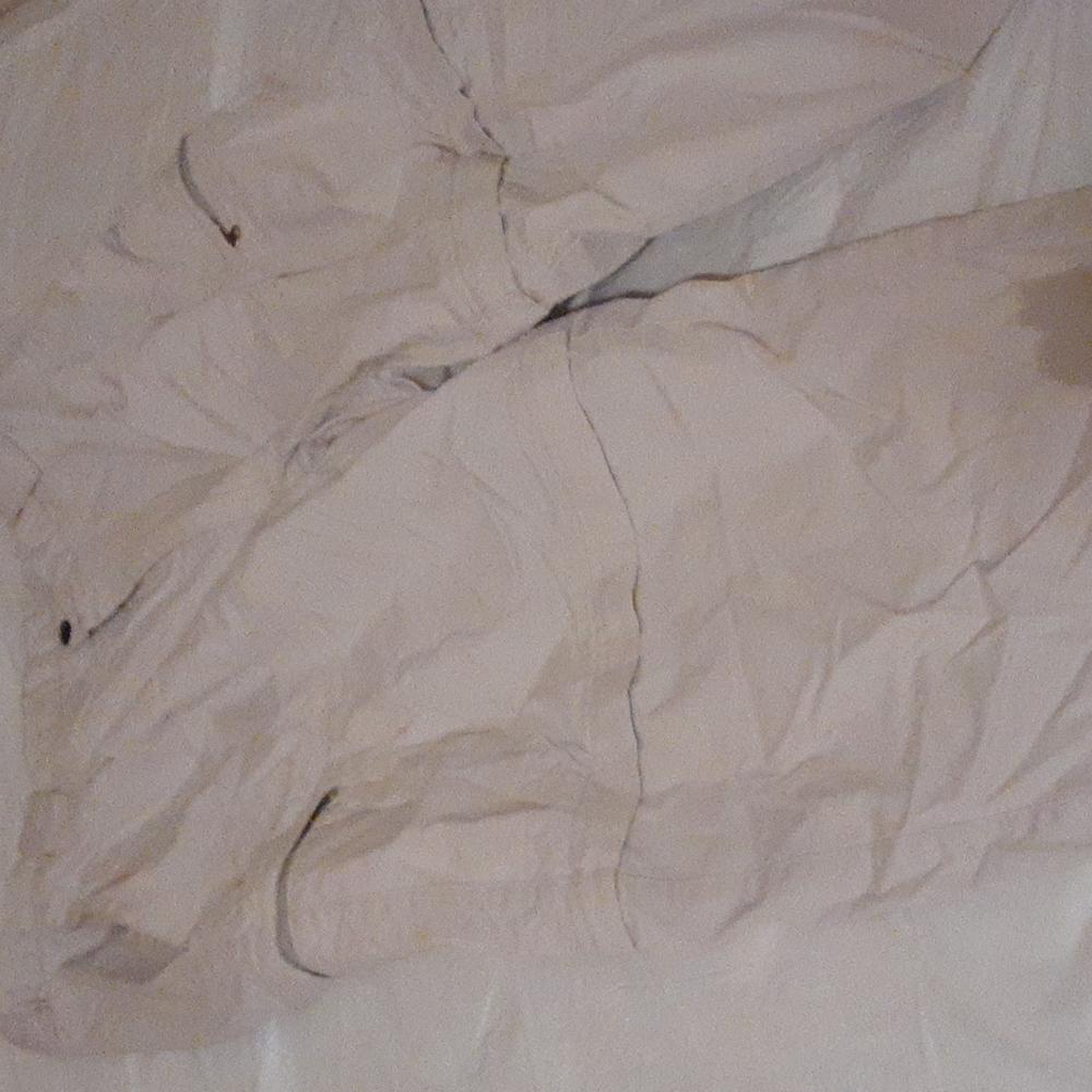 L.L. Bean Zip-Off Cargo Pants Heavier Weight Material 38 Cream